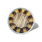 Nutella cheesecakes