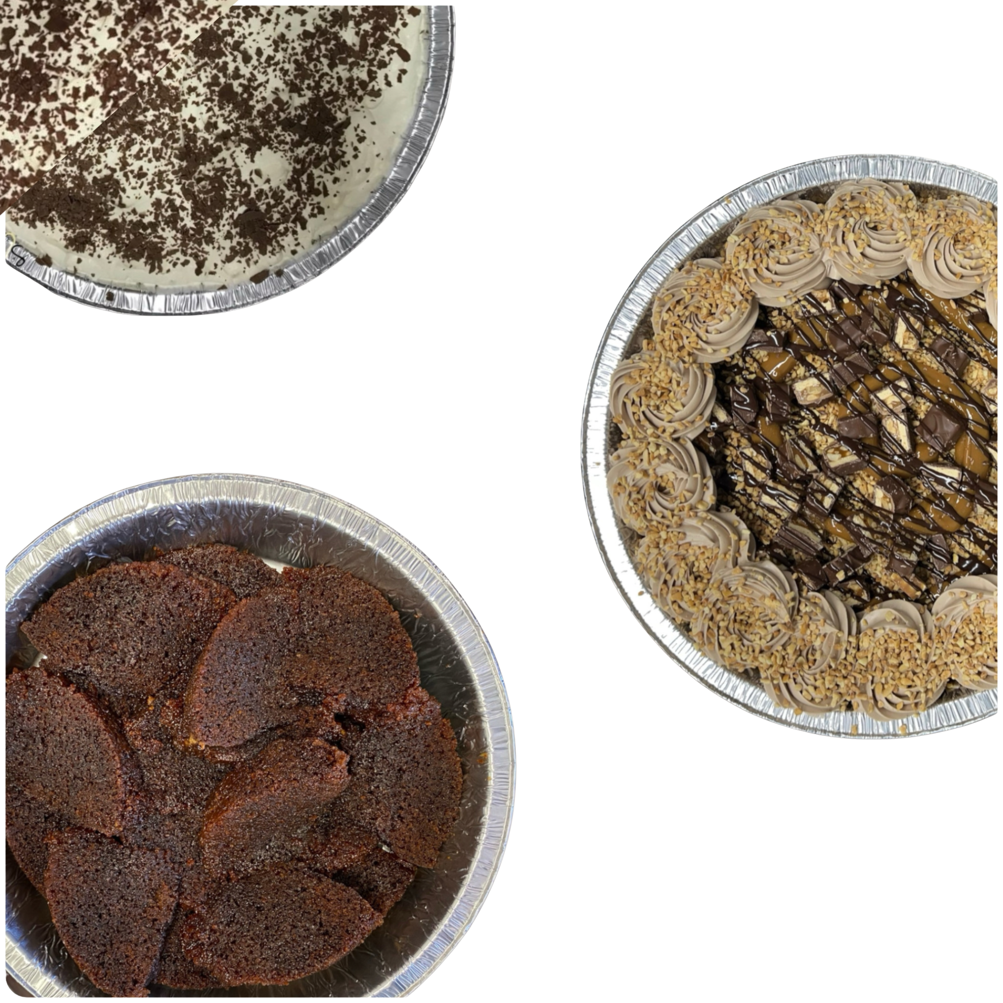 Family Favorites Bundle