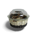 Oreo cheesecakes frm $6